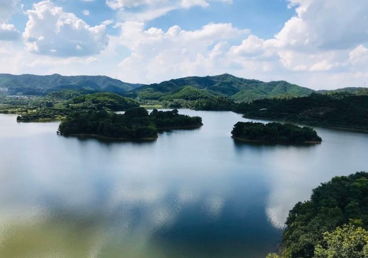 塘厦大坪小产权房新楼盘（黎光华府）100套大盘，户型齐全 有大型停车场