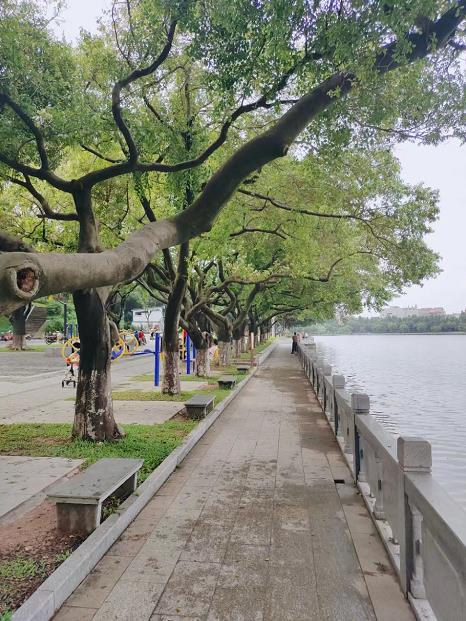 微信截图_20220608094513