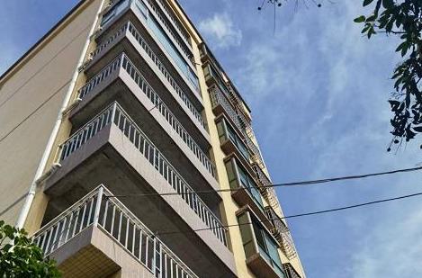 大岭山水朗村便宜的集资房（水朗华庭）带免费停车场，价格3800元，分期3年