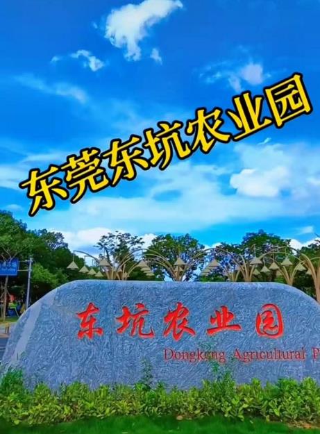 微信截图_20220622091726