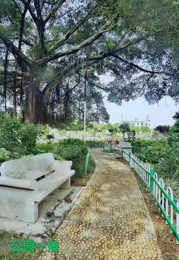 微信截图_20221017133626