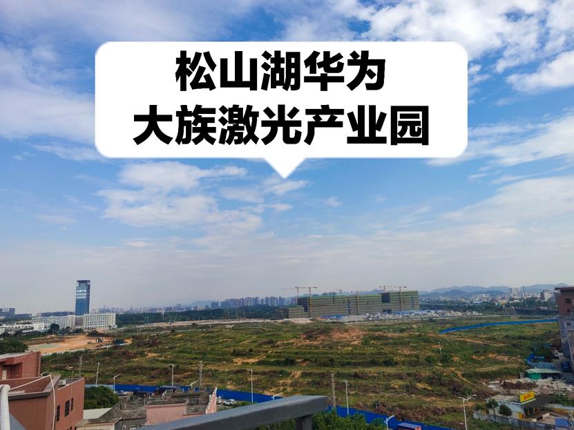 大岭山地塘岭《大塘二号》优质便宜笋盘 三房总价29.8万