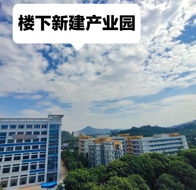 微信截图_20221024151959