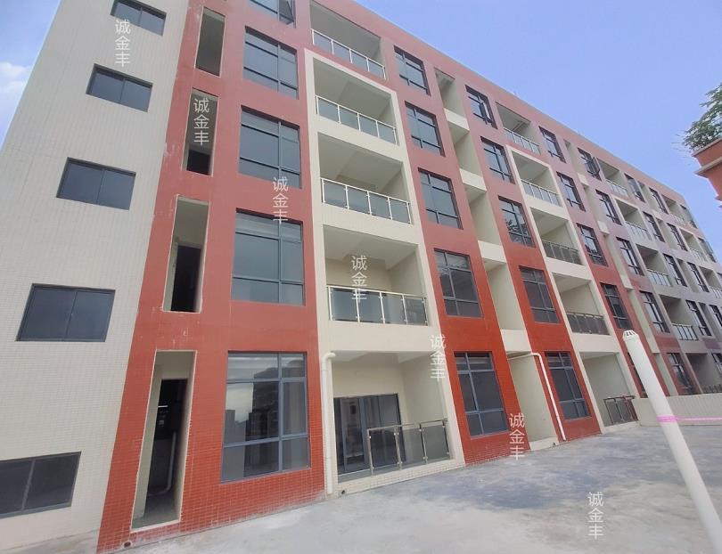 《新裕大厦》惠阳新圩2栋大型统建楼，带地下停车场，民水民电 总价30万起