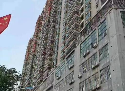 《天誉花园》深圳布吉六栋村委统建楼，直接村委签合同，通燃气 带停车场