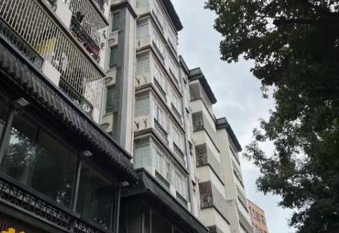 《皇岗壹号》福田村委盖章的小产权房，最近香港的楼盘 可落户 双地铁口