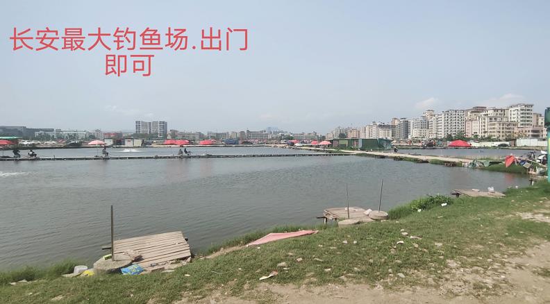 微信截图_20230501110228