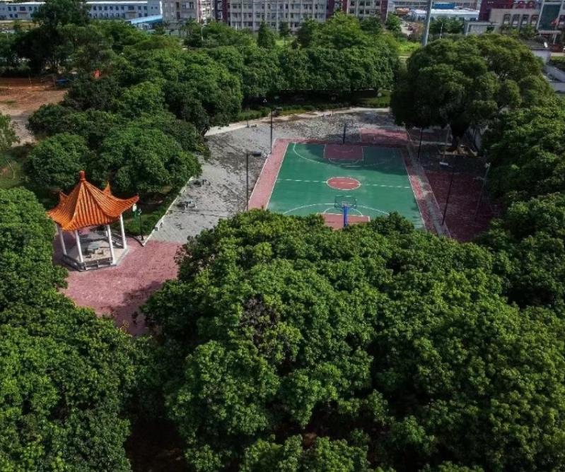 微信截图_20230529085637