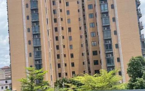 《学府世家》厚街2栋大型统建房，带两层地下停车场 通然气 均价4580元起