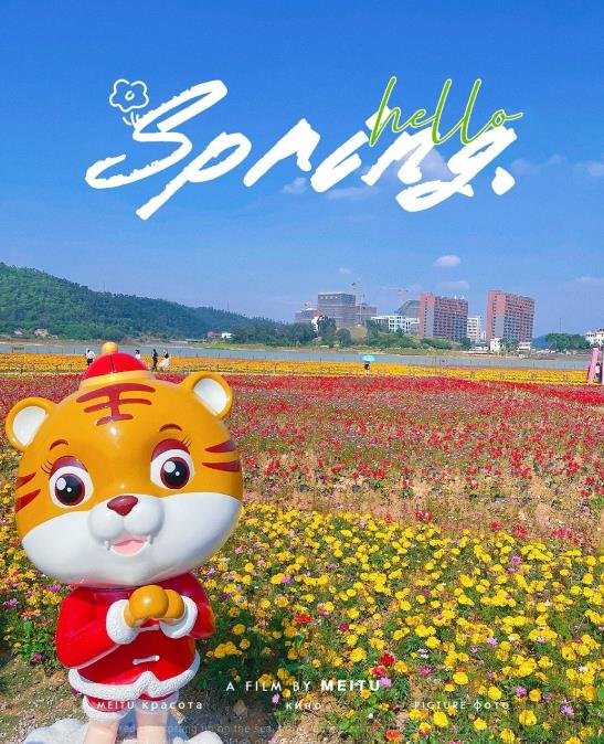 微信截图_20230612092455