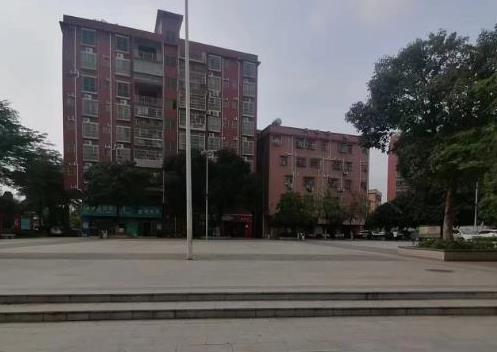 大岭山北地铁口300米《梅林花园》三栋统建楼 楼下就是公园和停车场