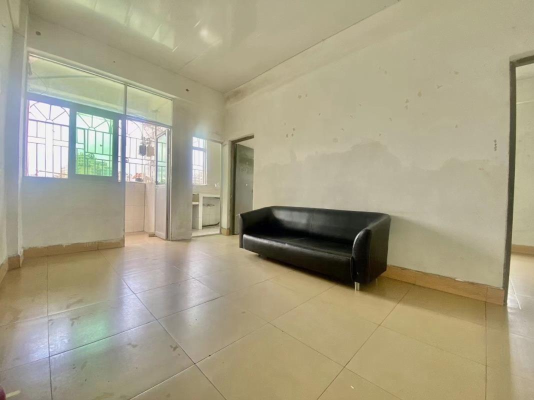 《未来城》布吉花卉市场旁的小产权房，原始户型 一房61.8万 两房81.8万