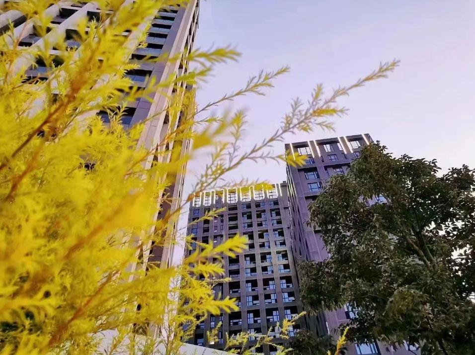 大岭山中心小产权房《松湖一品》3栋花园小区统建楼，有地下停车场和空中花园