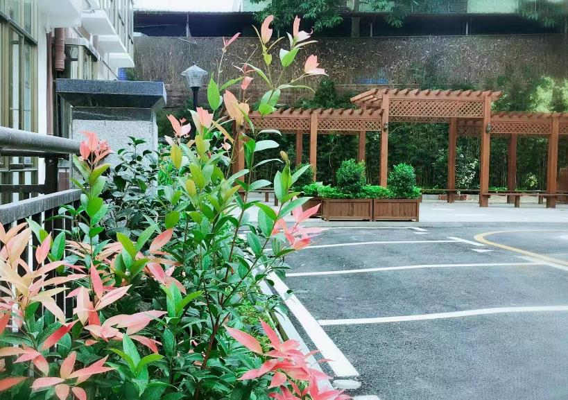 《澜兴花园》龙华观澜8栋800套，大型村委统建楼 均价11200元