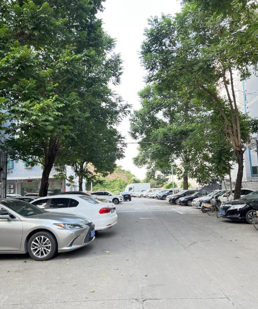 微信截图_20231116094704