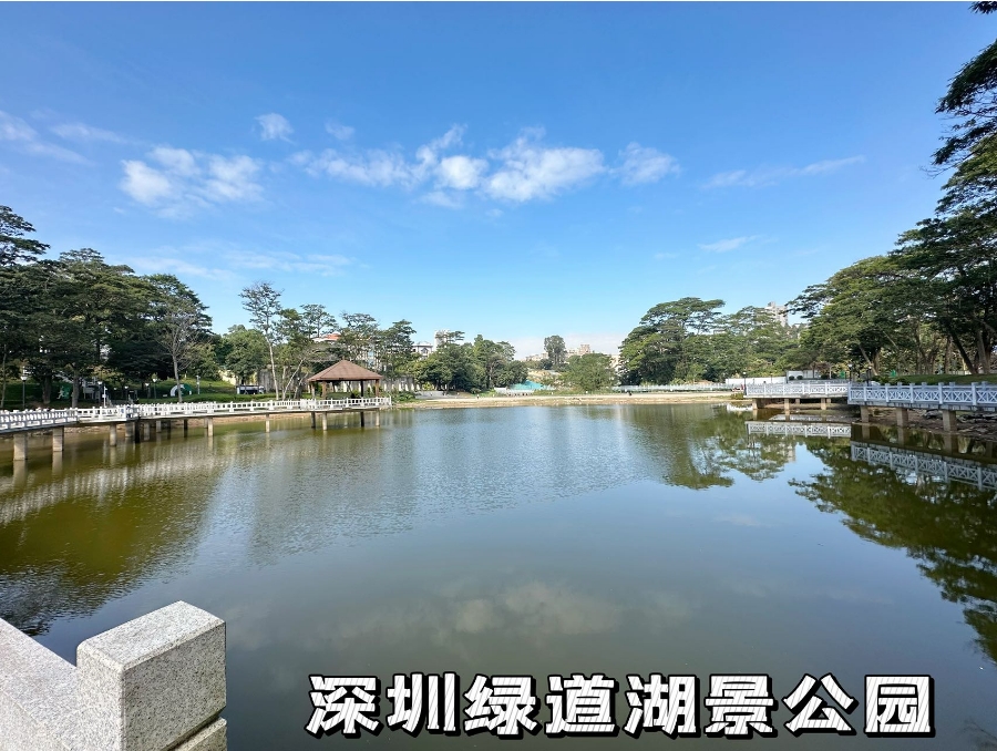 微信截图_20231228161526