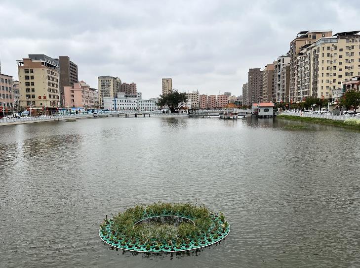 微信截图_20240304094718