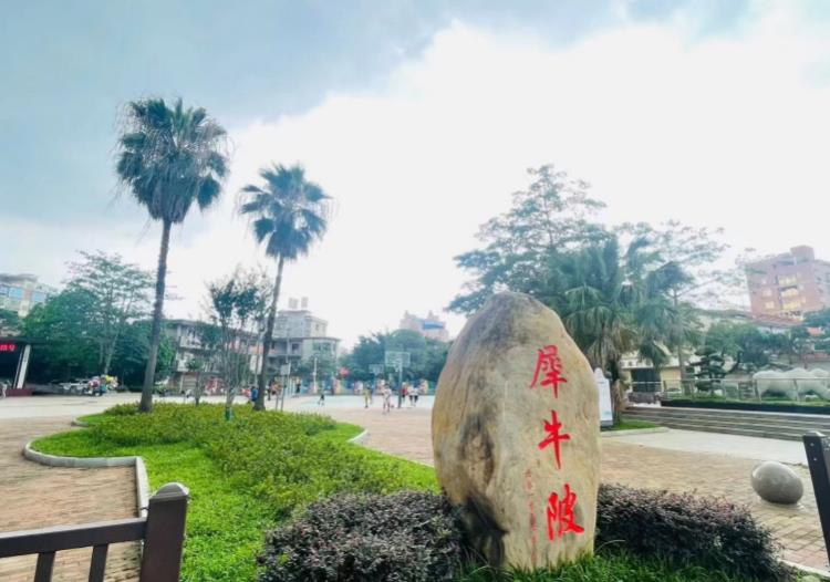 微信截图_20240318091243