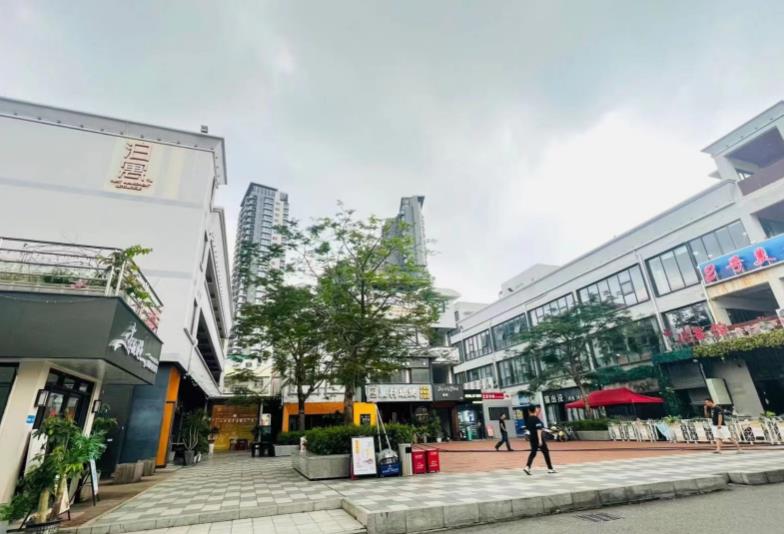 微信截图_20240318091306