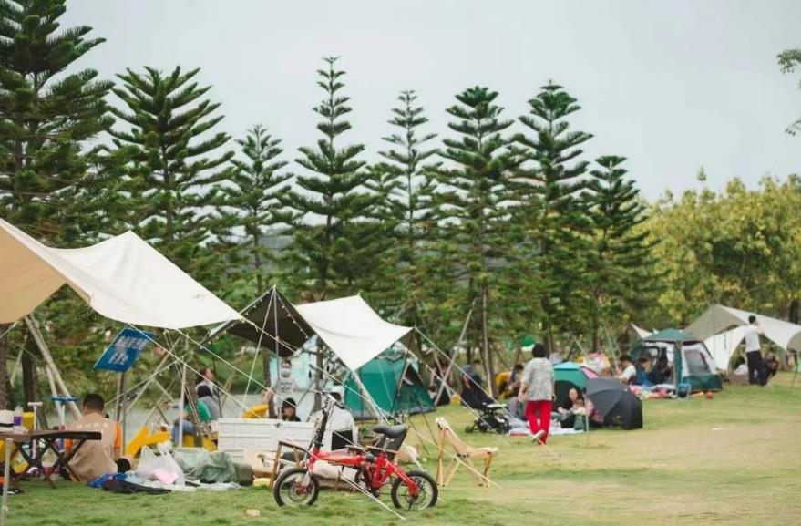 微信截图_20240318091325