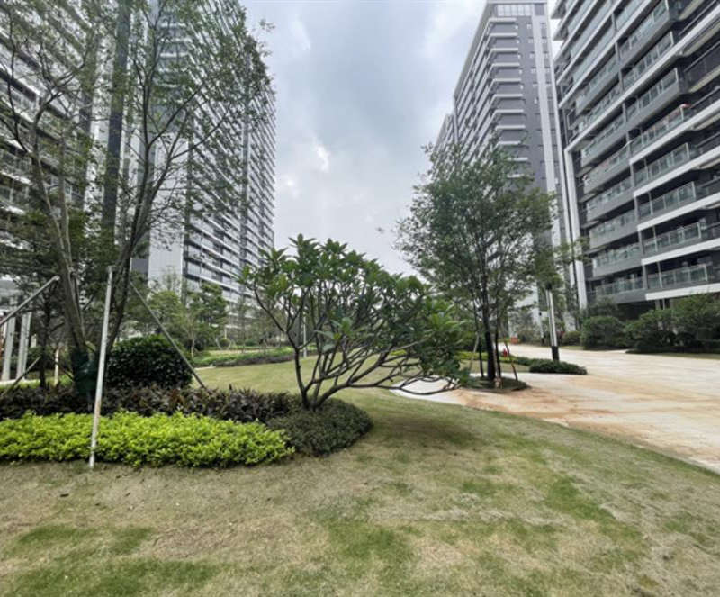 微信截图_20240620095641_副本