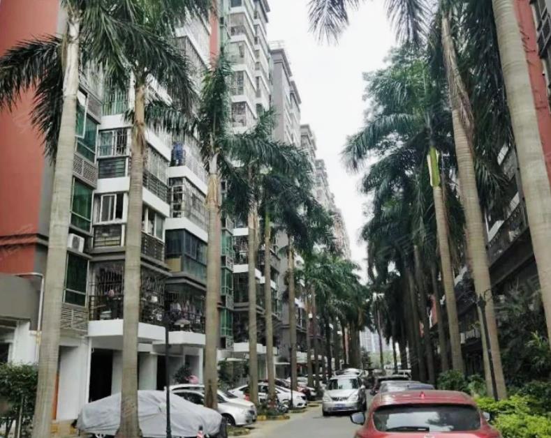 微信截图_20240916105500