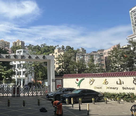 《邻府公馆》布吉丹竹头新楼盘，总价27.8万起 通然气 带停车场