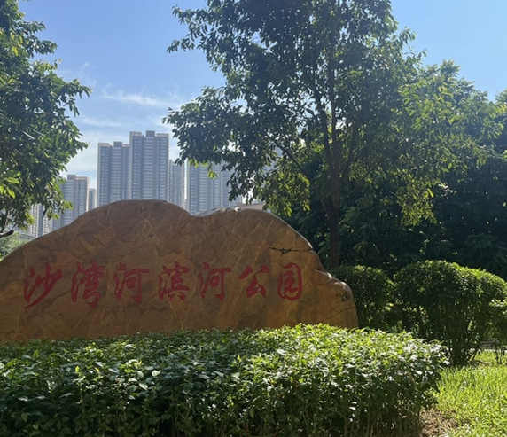 微信截图_20241017150834_副本