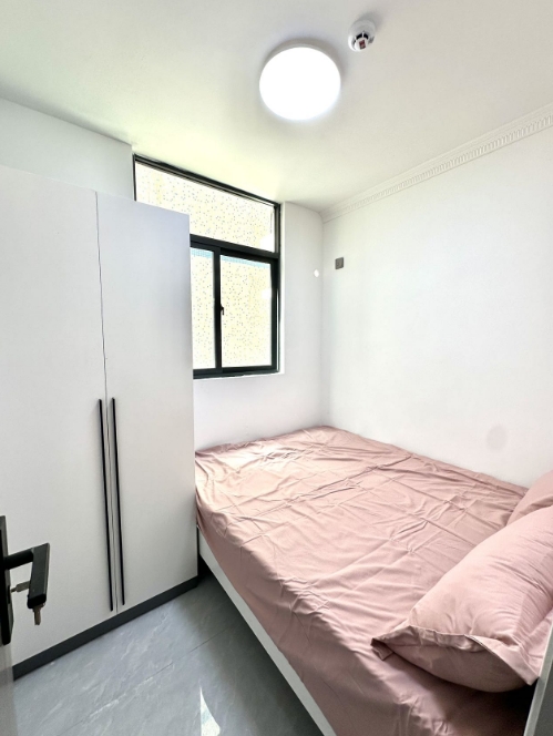 微信截图_20241205145528