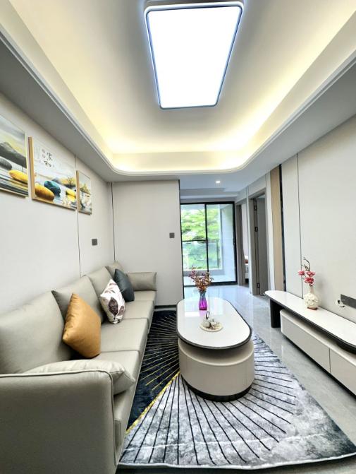 《坂田天玺》10号线岗头地铁口，精装电梯房，原始格局 总价38.8万起