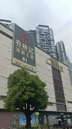 360截图20250811100242231